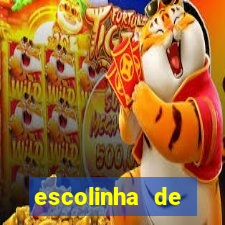 escolinha de handebol feminino rj flamengo